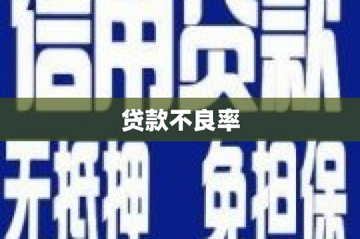 天水贷款不良率