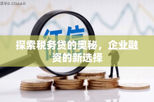 天水探索税务贷的奥秘，企业融资的新选择
