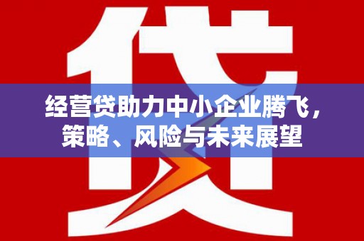 天水经营贷助力中小企业腾飞，策略、风险与未来展望