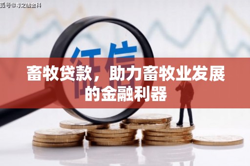 天水畜牧贷款，助力畜牧业发展的金融利器