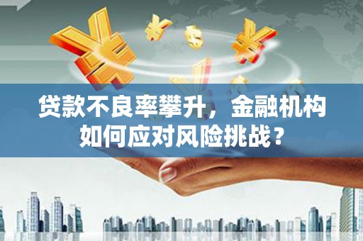 天水贷款不良率攀升，金融机构如何应对风险挑战？