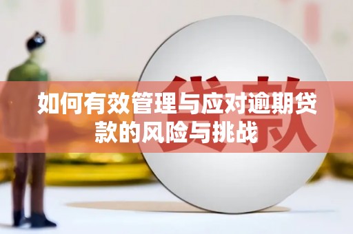 天水如何有效管理与应对逾期贷款的风险与挑战