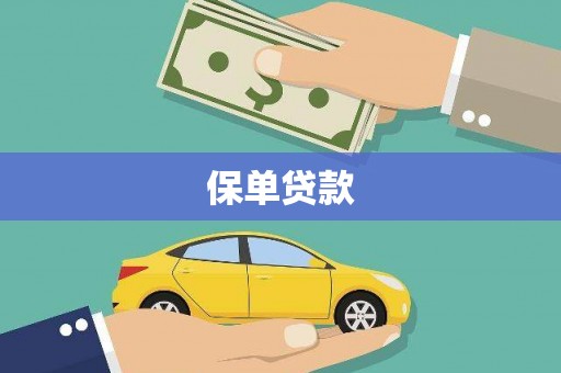天水保单贷款