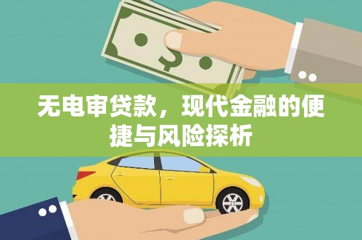 天水无电审贷款，现代金融的便捷与风险探析