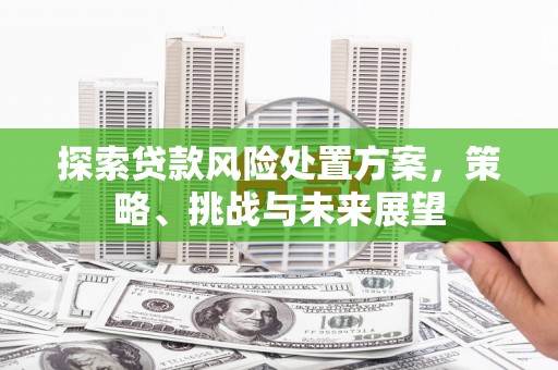 天水探索贷款风险处置方案，策略、挑战与未来展望