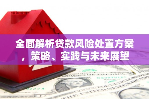天水全面解析贷款风险处置方案，策略、实践与未来展望