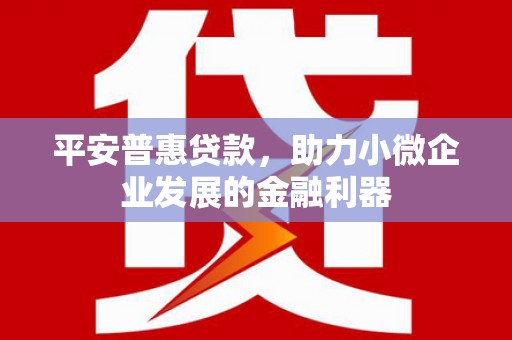 天水平安普惠贷款，助力小微企业发展的金融利器