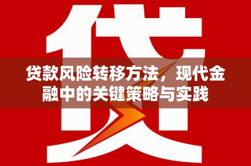 天水贷款风险转移方法，现代金融中的关键策略与实践