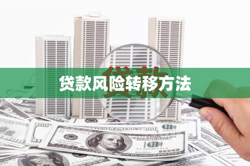 天水贷款风险转移方法