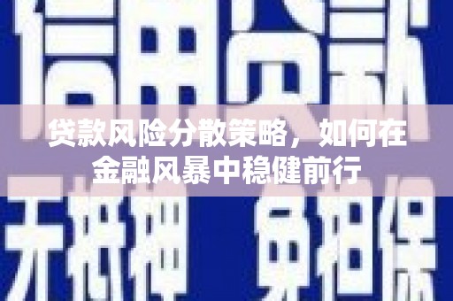 天水贷款风险分散策略，如何在金融风暴中稳健前行