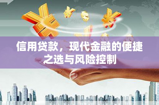 天水信用贷款，现代金融的便捷之选与风险控制