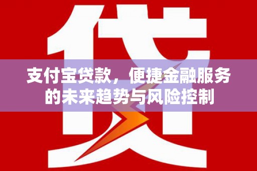 天水支付宝贷款，便捷金融服务的未来趋势与风险控制