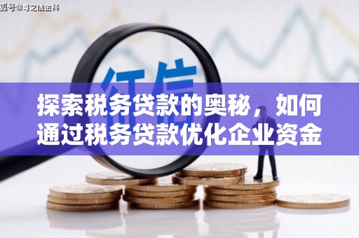 天水探索税务贷款的奥秘，如何通过税务贷款优化企业资金流