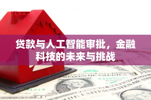 天水贷款与人工智能审批，金融科技的未来与挑战