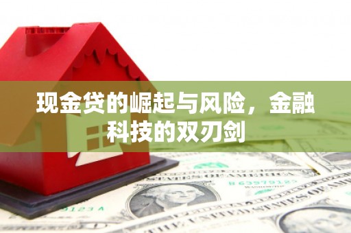 天水现金贷的崛起与风险，金融科技的双刃剑