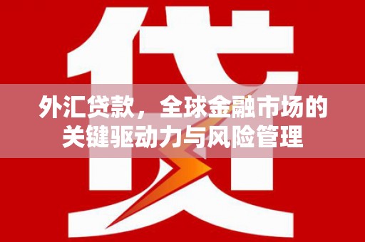 天水外汇贷款，全球金融市场的关键驱动力与风险管理