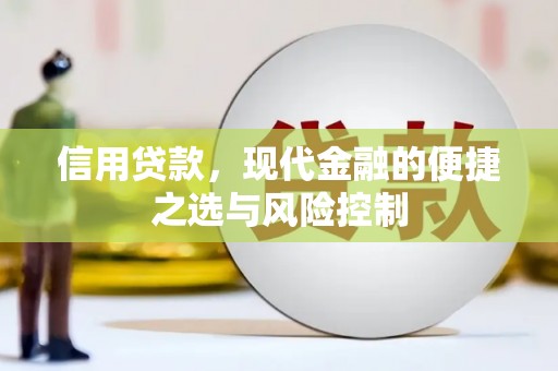 天水信用贷款，现代金融的便捷之选与风险控制