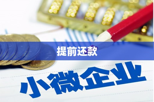 天水提前还款