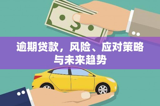 天水逾期贷款，风险、应对策略与未来趋势