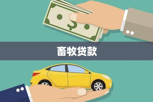 天水畜牧贷款