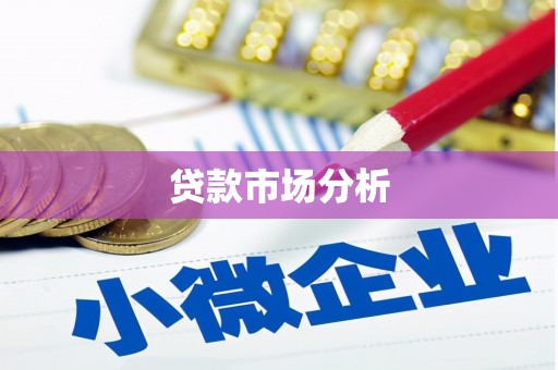 天水贷款市场分析