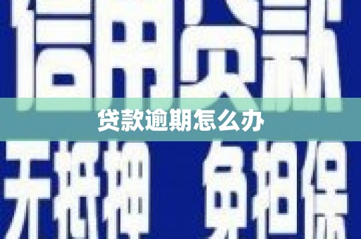 天水贷款逾期怎么办