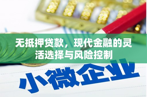 天水无抵押贷款，现代金融的灵活选择与风险控制