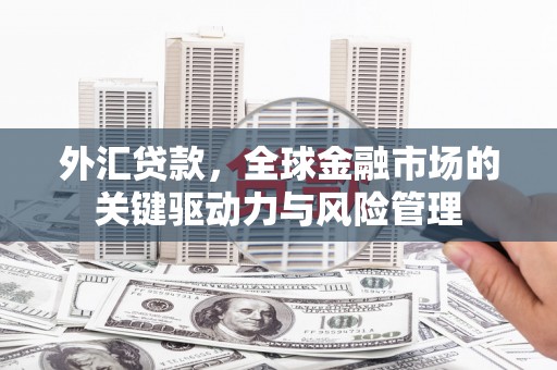 天水外汇贷款，全球金融市场的关键驱动力与风险管理