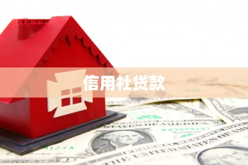 天水信用社贷款