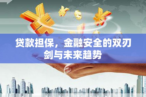 天水贷款担保，金融安全的双刃剑与未来趋势