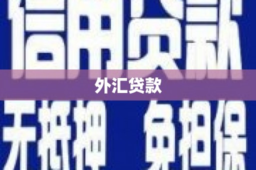 天水外汇贷款