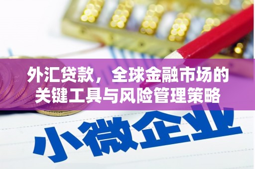 天水外汇贷款，全球金融市场的关键工具与风险管理策略