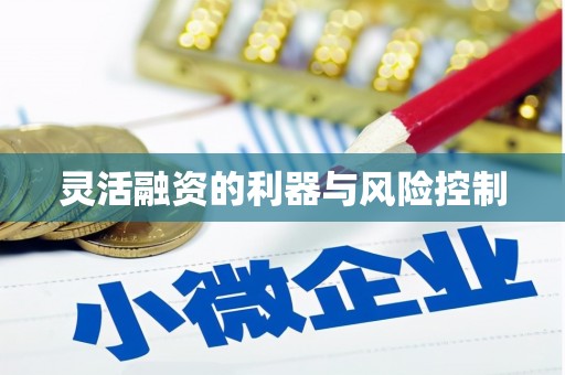 天水灵活融资的利器与风险控制