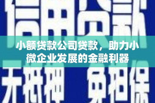 天水小额贷款公司贷款，助力小微企业发展的金融利器