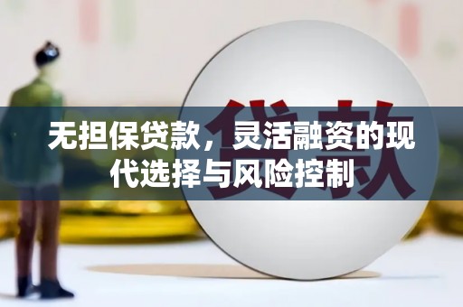 天水无担保贷款，灵活融资的现代选择与风险控制
