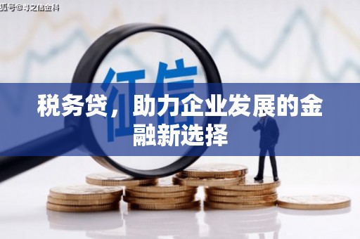 天水税务贷，助力企业发展的金融新选择