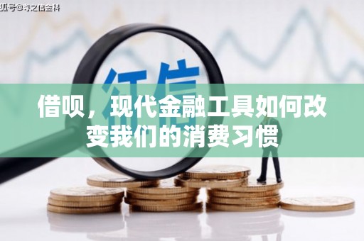 天水借呗，现代金融工具如何改变我们的消费习惯