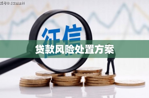 天水贷款风险处置方案