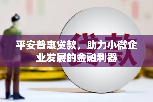 天水平安普惠贷款，助力小微企业发展的金融利器