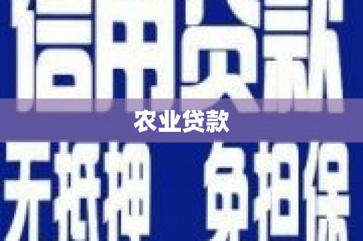 天水农业贷款