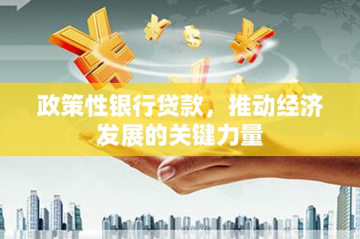 天水政策性银行贷款，推动经济发展的关键力量