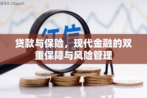 天水贷款与保险，现代金融的双重保障与风险管理