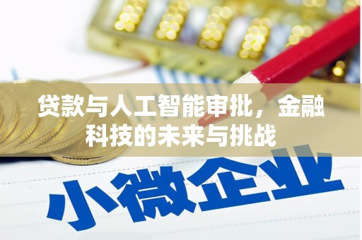 天水贷款与人工智能审批，金融科技的未来与挑战