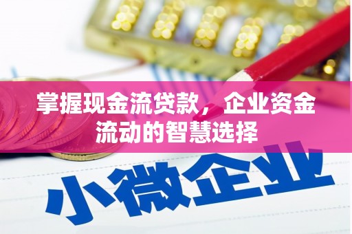天水掌握现金流贷款，企业资金流动的智慧选择