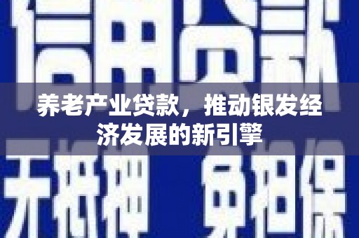 天水养老产业贷款，推动银发经济发展的新引擎
