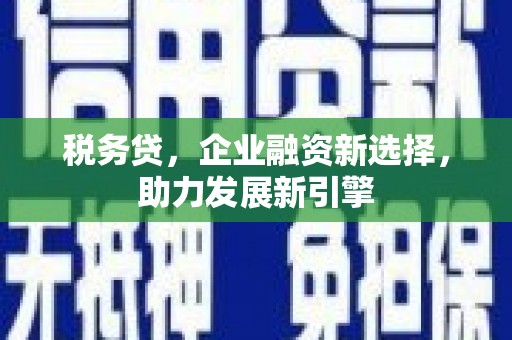 天水税务贷，企业融资新选择，助力发展新引擎