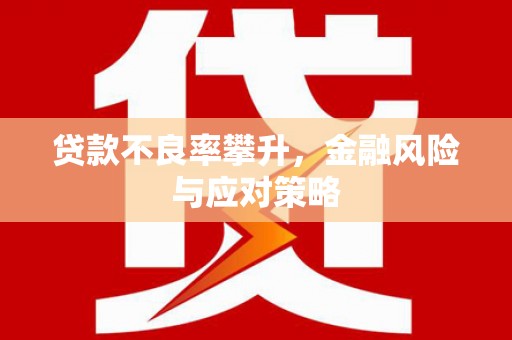 天水贷款不良率攀升，金融风险与应对策略