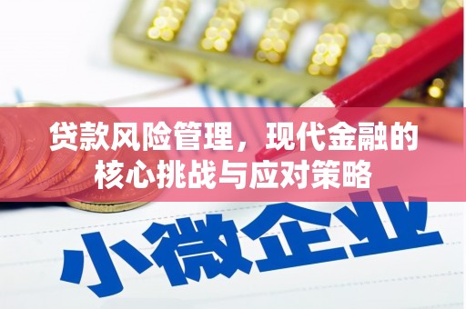天水贷款风险管理，现代金融的核心挑战与应对策略