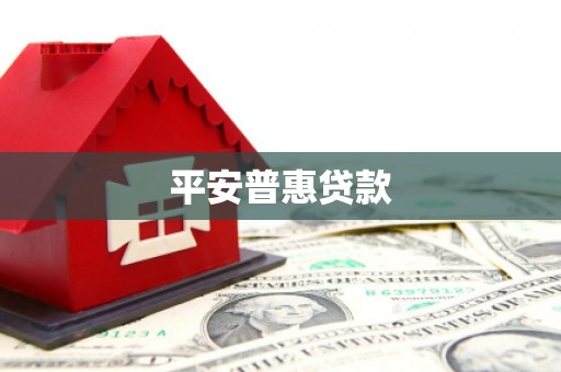 天水平安普惠贷款