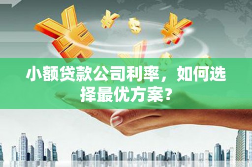 天水小额贷款公司利率，如何选择最优方案？